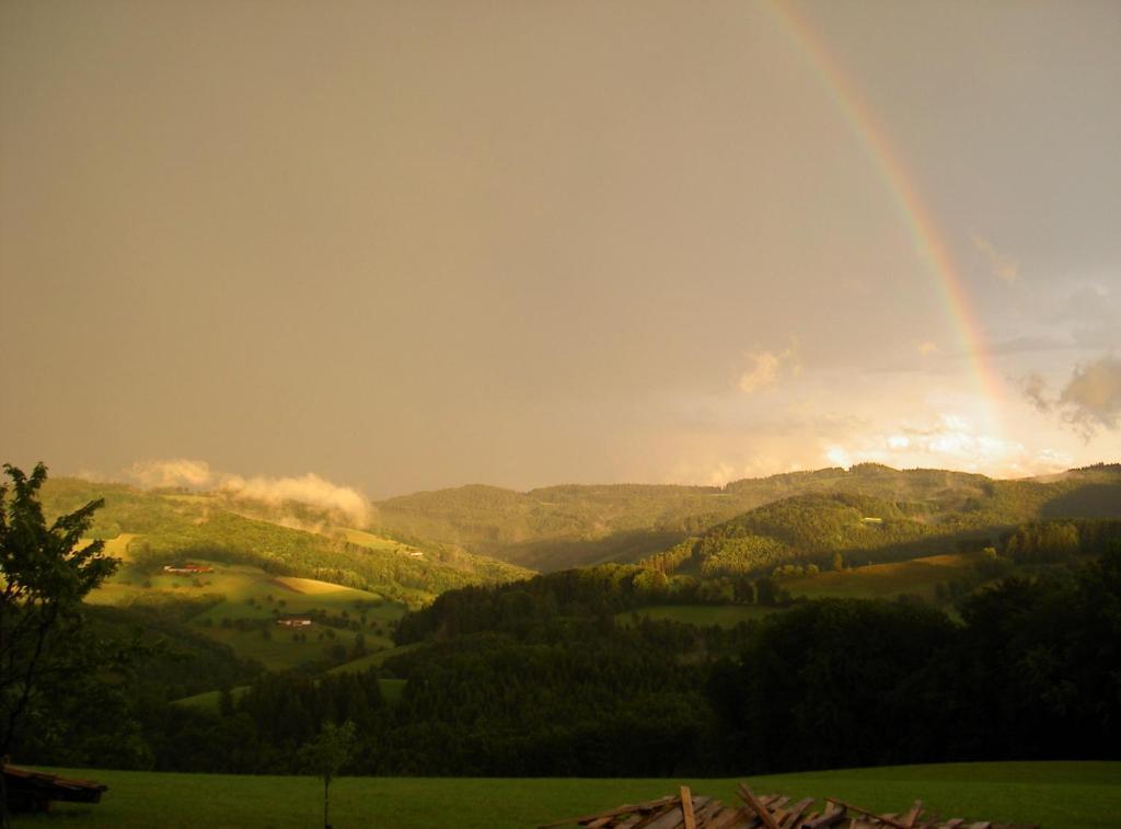 Vila Goelsenhof - Fam. Buechinger Wald  Exteriér fotografie